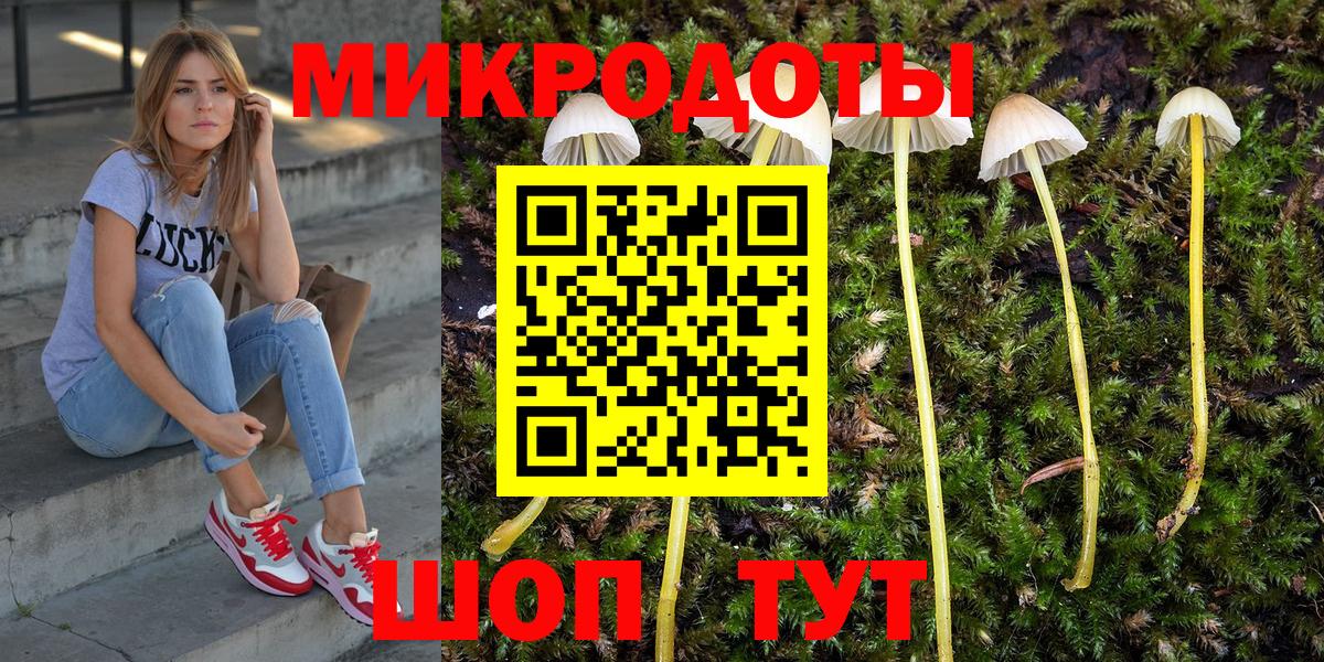 Псилоцибиновые грибы прущие грибы Лабытнанги